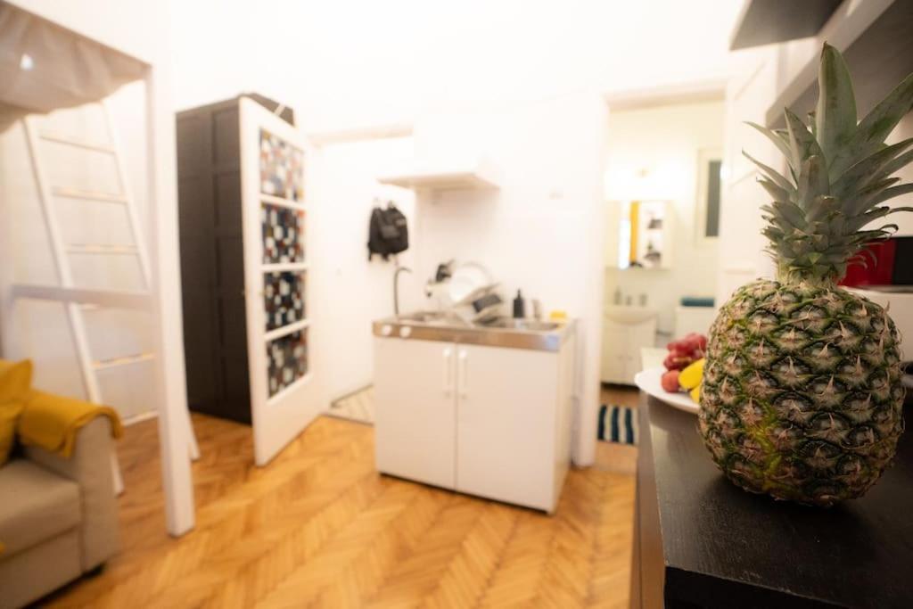 Cozy Studio Near Cismigiu Park Apartamento Bucareste Exterior foto